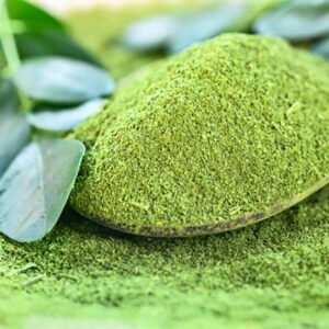 Moringa en poudre